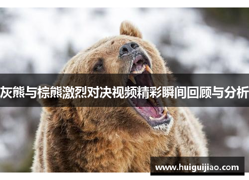 灰熊与棕熊激烈对决视频精彩瞬间回顾与分析