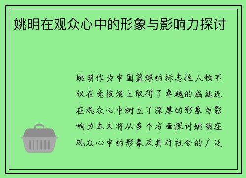 姚明在观众心中的形象与影响力探讨
